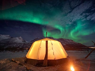 Campamento con trineo de renos y aurora boreal desde Tromsø