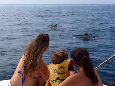 Delfinbeobachtung an der Küste von Fuengirola, Malaga