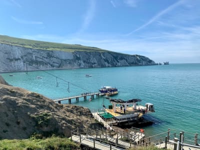 Excursion d'une journée sur l'île de Wight depuis Londres