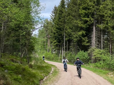 Randonnée en VTT électrique à Oslomarka, près d'Oslo