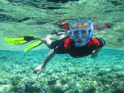 Guided reef snorkel in Plettenberg Bay, South Africa