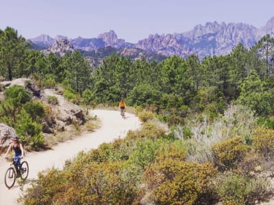 Location VTT électrique à Sari-Solenzara, au départ de Solaro