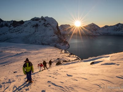 Schneeschuhwanderung in der arktischen Wildnis ab Tromsø