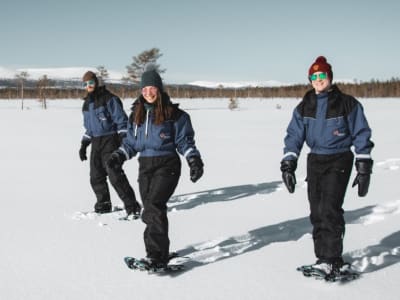 Schneeschuhwanderung in Ylläs