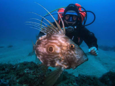 Discover Scuba Diving from the beach en Tossa de Mar, Costa Brava