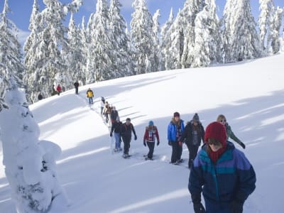 Senderismo al cañón Korouoma en Laponia, cerca de Rovaniemi