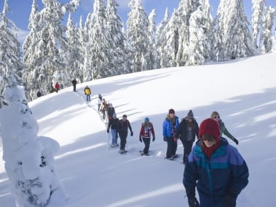 Senderismo al Cañón Korouoma en Laponia, cerca de Rovaniemi