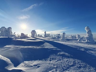 Mágica excursión con raquetas de nieve en el Parque Nacional de Riisitunturi