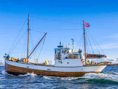 Excursion dans un fjord et en bateau de pêche à bord d'un navire historique au départ de Tromsø