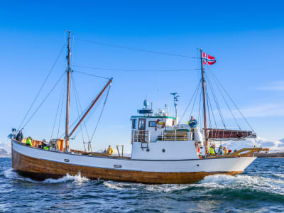 Fjord- und Fischereikreuzfahrt an Bord eines historischen Schiffes ab Tromsø