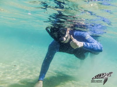 Aventura de snorkel en el Cabo Vidal