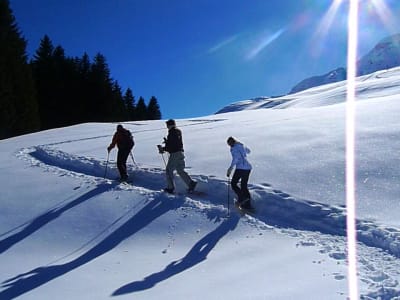 Snowshoeing excursion in Megève, French Alps