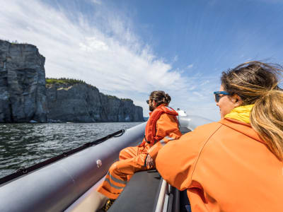 Safari guidé avec observation des baleines en zodiac au départ de Gaspé