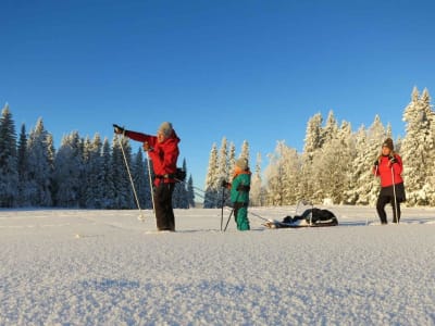 Ski de fond traditionnel en bois au départ d'Åre