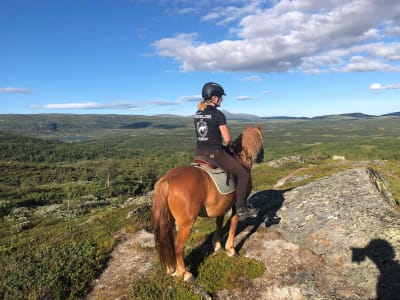 Summer/Autumn Half-day Horseback Riding Tour in Skammestein near Jotunheimen