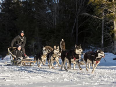 Excursión en trineo tirado por perros en St Hippolyte, cerca de Montreal