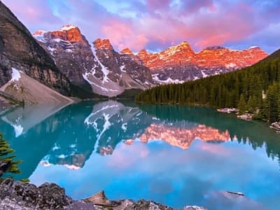 Guided sightseeing tour of Lake Moraine and Lake Louise from Banff