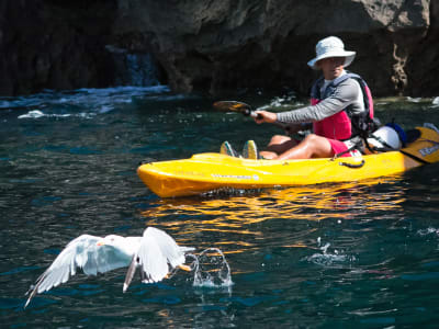 Sea kayaking excursion from Sesimbra