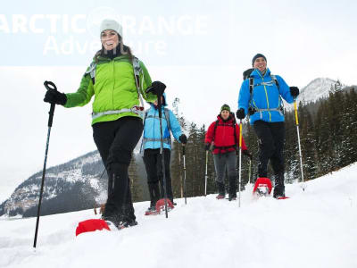 Randonnée guidée en raquettes dans le Yukon au départ de Whitehorse