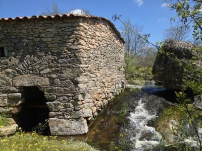 Itinéraire de randonnée Los Picones depuis Freixiosa, Parc national du Douro