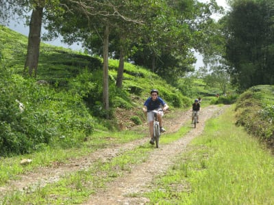 Viaje en bicicleta de montaña en Pulau Ubin, Singapur