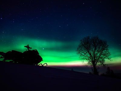 Northern Lights Snowmobile Safari from Mosjøen