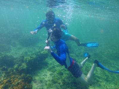 Schnorcheln in der Lagune Pointe des Châteaux in Saint-François, Guadeloupe