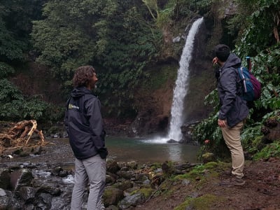 Randonnée guidée à Ribeira Funda près de Maia, São Miguel