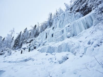 Session d'escalade de glace dans le canyon de Korouoma