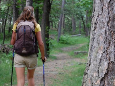 Wandern am Lochiensee im Aostatal