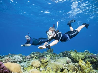 Snorkelling Boat Excursion from Aegiali in Amorgos