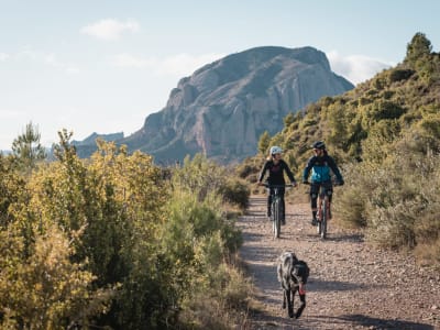 Excursion by electric bicycle through Sierra de Guara, Huesca