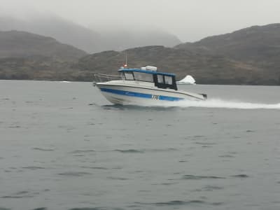 Excursión en barco a Tinit desde Tasiilaq, Groenlandia