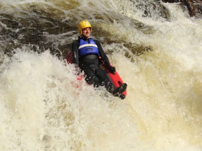 Flusswanzen auf dem Fluss Tummel, in der Nähe von Edinburgh