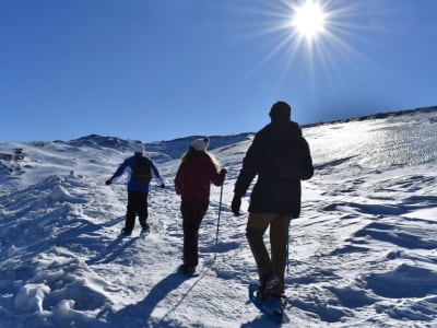 Excursión guiada con raquetas de nieve al Pico Veleta en Sierra Nevada, Granada