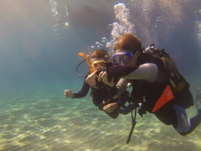 Discover Scuba Diving in Sisco on Cap Corse, near Bastia