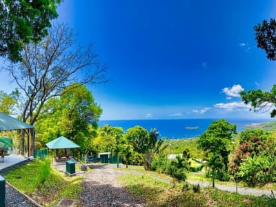 Wandern im Parc de la Source in Bouillante, Guadeloupe