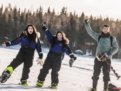 Wilderness Snowshoes Excursion in Lapland near Rovaniemi