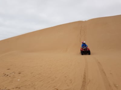 Quadbike- und Kamelausflug in Essaouira