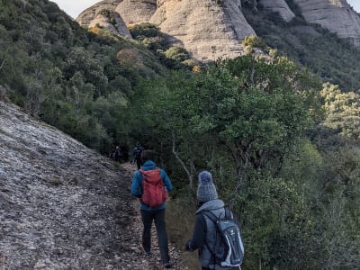 Excursión guiada al Monasterio de Montserrat y senderismo con vistas panorámicas, Barcelona