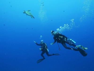 Primera inmersión en la laguna de Moorea