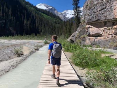 Hiking to the Plain of Six Glaciers from Lake Louise, near Banff