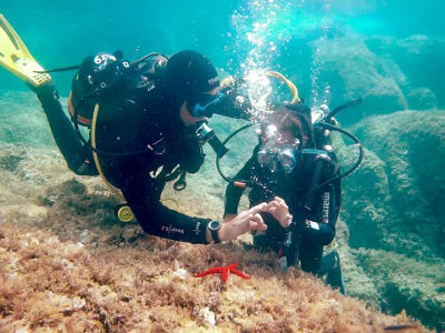 First Scuba Dive in Ajaccio