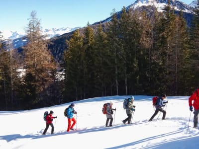 Snowshoe trekking in Courchevel, Vanoise