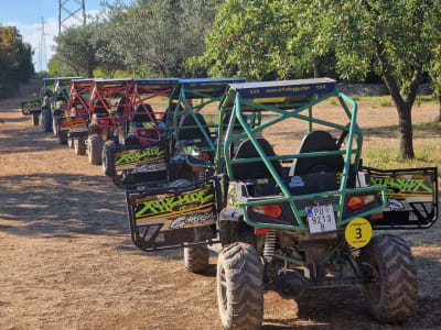 Guided Buggy Tours in the Heart of Istria near Pula