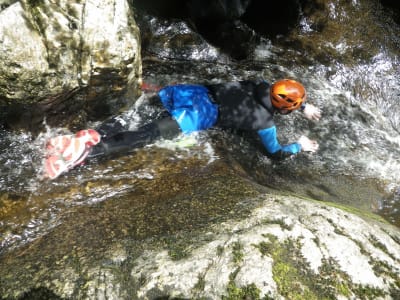 Argence-Schlucht in Aubrac