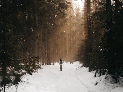 Snowshoeing under the stars in Courchevel