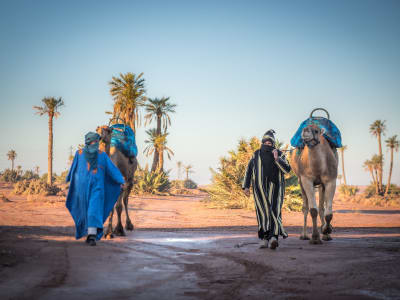 Kamelritt in der Wüste von Agafay, in der Nähe von Marrakech