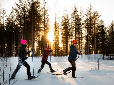 Leisurely Snowshoe Hike from Kalix near Luleå