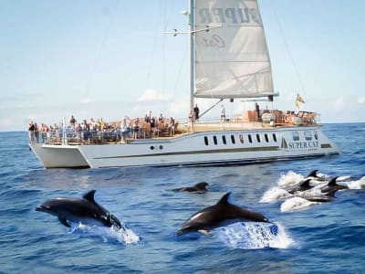 Dolphin watching by boat and visit to Puerto de Mogán, Gran Canaria